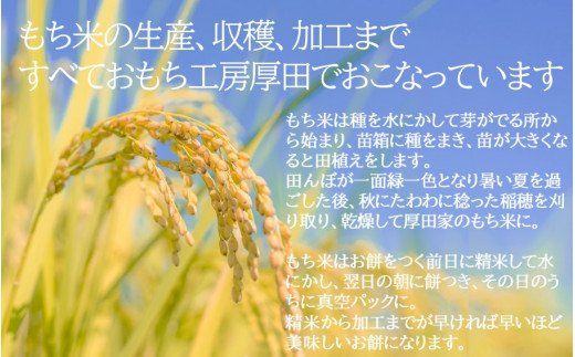 こだわりの米で作った！つきたて丸餅30個※約1.2kg_1849R