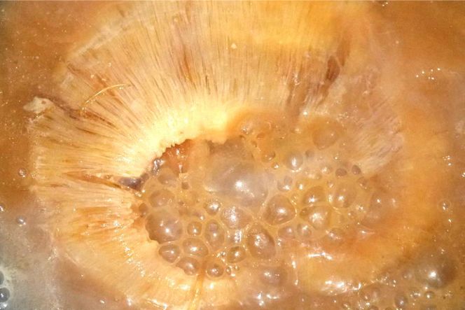 気仙沼港水揚げ 1,440時間かけて愚直に作ったフカヒレ姿煮 濃厚白湯仕立 80g 煮込み用パイタンスープ250g 各2 [海華 宮城県 気仙沼市 20565812] フカヒレ ふかひれ 鱶鰭 冷凍 中華料理 高級