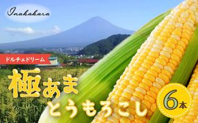 ＜2025年先行予約＞【富士山の麓で育つ】富士河口湖町産 Inakakaraとうもろこし「ドルチェドリーム」6本入 FBA007