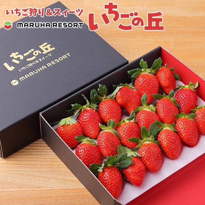 【2026年1月上旬発送開始】まるは食堂 マルハリゾート いちごの丘の『朝摘みいちご』2箱（1箱約450g） ※2026年1月上旬～3月下旬頃に順次発送予定 ※北海道・沖縄・離島への配送不可 ※着日指定不可