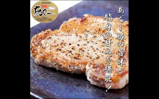 お肉屋本店　沖縄県産あぐー豚ハンバーグ・ステーキセット900g