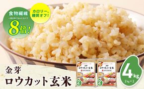 099H202 金芽ロウカット玄米 4kg【東洋ライス 2kg×2P お米 米 こめ 国産 小分け】