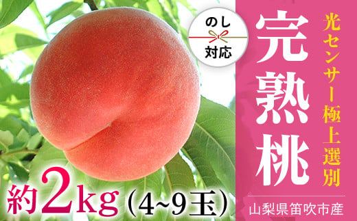 ＜25年発送先行予約＞笛吹市産こだわりの桃 約2.0kg(4～9玉) 常温 090-010