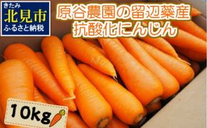 【予約：2025年8月下旬から順次発送】原谷農園の抗酸化にんじん 10kg ( 野菜 にんじん 人参 お菓子 新鮮 北海道産 10キロ )【058-0003-2025】