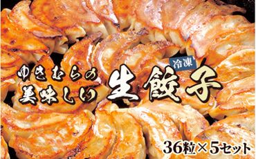 ゆきむらの美味しい生餃子(冷凍) 36粒×5セット ※離島への配送不可