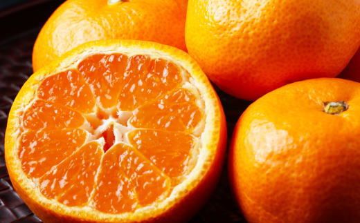 ［高糖系］貯蔵越冬丹生系みかん約5kg（S～Lサイズおまかせ）★2026年2月下旬頃より順次発送 	BZ071