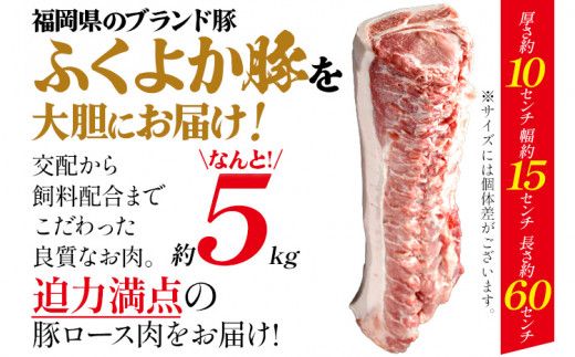 ふくよか豚ロースブロック約5kg 豚ロースブロック 豚ロースブロック肉 豚ロース ブロック肉 塊肉 豚肉 ブタ肉 豚 肉 ふくよか豚 焼肉 ステーキ とんかつ しゃぶしゃぶ 冷蔵 福岡県 福岡 九州 グルメ お取り寄せ