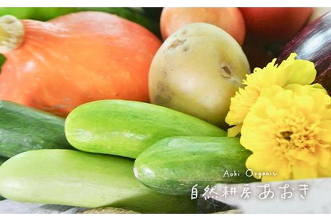 【年4回定期便】春夏秋冬自然栽培野菜セット(年4回)4～5人用　AB00002