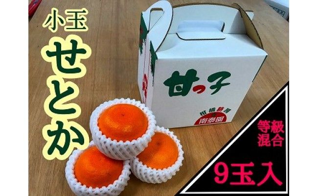 甘っ子 小玉 ハウス せとか 9玉入 手さげ箱 南泰園   BS172