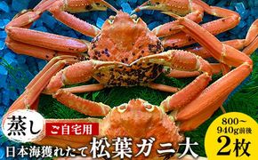 【先行予約】【蒸し】ご自宅用日本海獲れたて松葉ガニ 大　800～940g前後　２枚◇《かに カニ 蟹 ズワイガニ》 ※2024年11月上旬～2025年3月上旬頃に順次発送予定