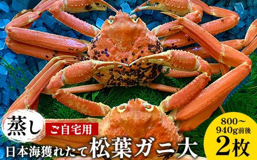 【先行予約】【蒸し】ご自宅用日本海獲れたて松葉ガニ 大　800～940g前後　２枚◇《かに カニ 蟹 ズワイガニ》 ※2024年11月上旬～2025年3月上旬頃に順次発送予定