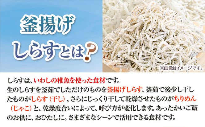 冷凍釜揚げしらす 500g 大五海産《60日以内に出荷予定(土日祝除く)》和歌山県 日高町 釜揚げ しらす 魚 いわし 和歌山県産 送料無料---wsh_fdig1_60d_23_12000_500g---