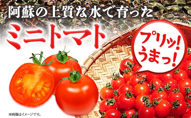 ぷりうまミニトマト 1.2kg (200g × 6袋) 破損保証約100g含む トマト ミニトマト 野菜 GTOファーム 熊本県 南阿蘇村《30日以内に出荷予定(土日祝除く)》---sms_cgtomtmt_30d_24_13500_1200g---