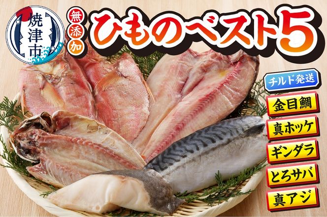 yÉĒÎsza10-893@y`hł͂zЂ̐lCBEST5Zbg