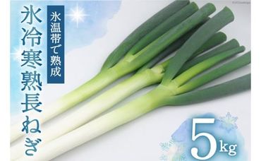 氷冷寒熟 長ねぎ 5kg ネギ [タカノー産業 宮城県 加美町 44581002] ねぎ ネギ 葱 野菜