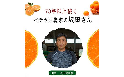 ご家庭用訳あり 熊本県玉東町産限定『坂田農園』のご家庭用みかん 大容量 約10kg(S-3Lサイズ)  フルーツ 秋 旬 玉東町70年のベテラン！濃厚な食味とジューシーな果汁 熊本県玉東町《10月上旬-1月末頃出荷》---sg_sktwmk_af101_25_11000_10kg---