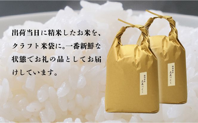 【先行予約】【全3回定期便】福岡県産【特A】評価のお米「元気つくし」5kg×2袋 [10kg] [白米]【2024年11月下旬以降順次発送】《築上町》【株式会社ベネフィス】[ABDF115]