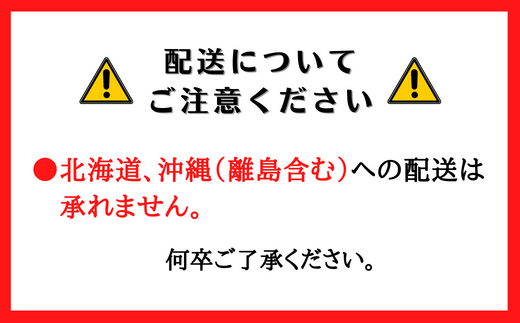 延代のおせち（二段重）【12/31着】24-110-001