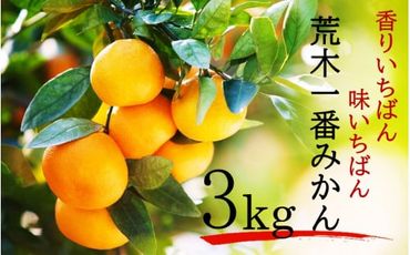 【先行予約】令和5年12月出荷開始/荒木一番みかん3kg _2305R