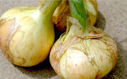 【2026年3月中旬～発送】【柔らかくて甘い！】塩玉ねぎ（新玉ねぎ）約3kg（中玉） 南島原市 / 長崎県農産品流通合同会社 [SCB056]
