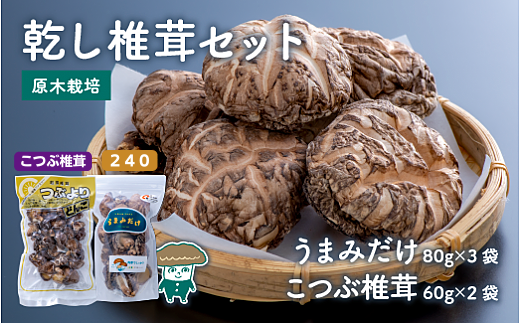 C3-21 乾し椎茸セット360g【大分県新ブランド うまみだけ 240、こつぶ椎茸】