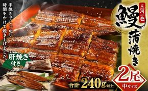 三河一色産 うなぎ蒲焼き 中2尾 うなぎ 鰻 かば焼き タレ付き セット 簡単調理 冷凍