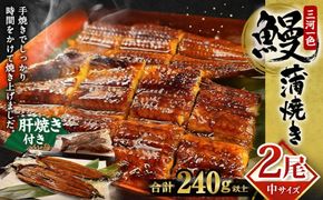 中(5P) 三河一色 鰻 蒲焼き 2尾 (240g以上) (肝焼き付き)  うなぎ 鰻 蒲焼 丑の日 土用の丑の日 肝焼き