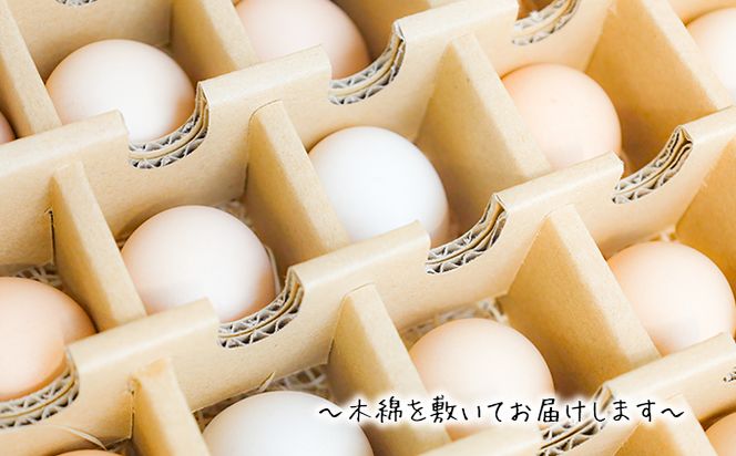 【定期便】土佐ジローたまご　　1箱(36個入)×6回（4週間毎）