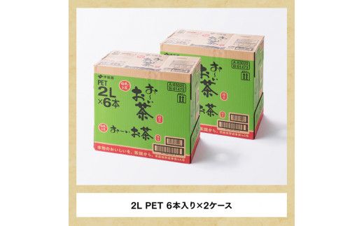 おーいお茶 緑茶 2L×6本×2ケース [D07301]
