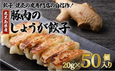 餃子・焼売の皮専門店の自信作！鹿児島県産豚肉のしょうが餃子　K033-004