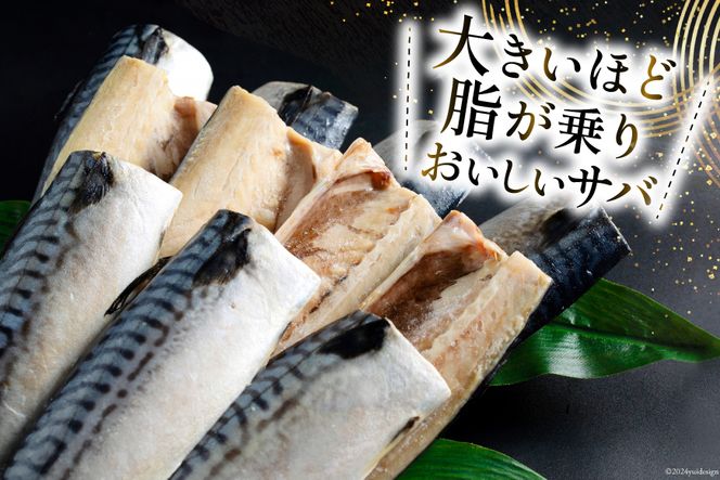 【CF01】訳あり 塩サバ フィレ 3kg [足利本店 宮城県 気仙沼市 20564146] 魚介類 魚 海鮮 大容量 サバ さば 鯖 サバフィレ サバフィーレ 鯖フィレ トロサバ 訳アリ 訳あり わけあり 切り身 冷凍