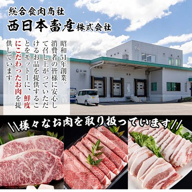 おおいた 和牛 ヒレブロック (約1kg) 国産 ステーキ 牛肉 豊後牛 BBQ バーベキュー 焼肉 ヒレ ヒレ肉 塊肉 惣菜 大分県 佐伯市【BD206】【西日本畜産 (株)】