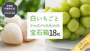 白いちご と シャインマスカット の 宝石箱 18粒 【令和6年12月から発送開始】（県内共通返礼品：かすみがうら市産） 果物 フルーツ いちご イチゴ 白苺 ぶどう マスカット ギフト プレゼント [BI344-NT]