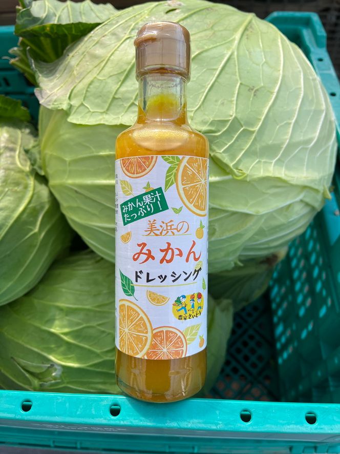 みはまのみかんドレッシング（2本入り）◆｜調味料 ミカン 蜜柑 柑橘