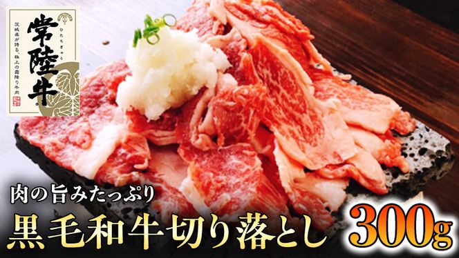 y錧vszyaz헤 I ؂藎Ƃ  300g Y ē Ă o[xL[ BBQ uh јa Ԑg  Mtg 蕨 j  [BQ004us]