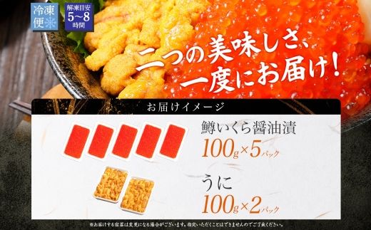 3402. 2種 海鮮丼 鱒 いくら醤油漬け 100g×5 約5-6人前 ウニ チリ産 雲丹 うに 100g×2 セット いくら イクラ いくら醤油 魚卵 ます マス 海鮮 送料無料 北海道 弟子屈町