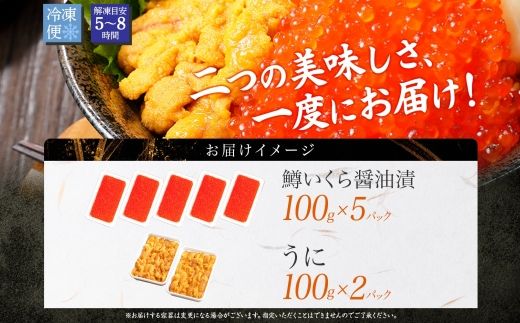 3009. 2種 海鮮丼 鱒 いくら醤油漬け 100g×5 約5-6人前 ウニ チリ産 雲丹 うに 100g×2 セット いくら イクラ いくら醤油 魚卵 ます マス 海鮮 送料無料 北海道 弟子屈町