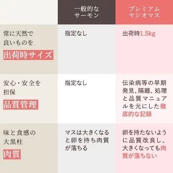 【【国産】高級サーモン】【皮なしフィレ冷燻 約500g】産地直送 おつまみ 高級 ※沖縄・離島への配送不可