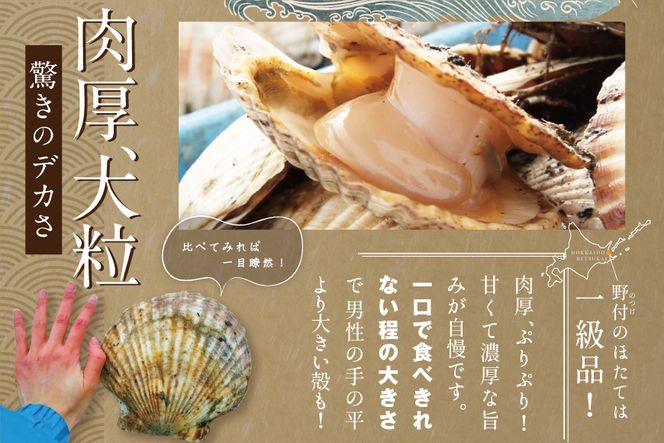 【数量限定】幻 サイズ 北海道 別海町 野付産 ジャンボ ほたて 冷凍 貝柱 500g （7～9玉前後）LLサイズ【KO0000002】