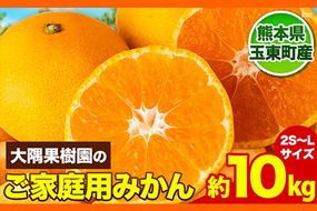 『大隅果樹園』のご家庭用みかん 約10kg(2S~Lサイズ) 大隅果樹園《10月下旬-12月下旬頃出荷》熊本県 玉名郡 玉東町 みかん 柑橘 フルーツ 果物 ご家庭用 訳あり---sg_wosumikan_p1012_24_10000_10kg---