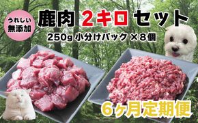 【6回定期便】 森のジビエ for PET 鹿肉 2kg ペットフード 犬 猫 A-JK-C01A