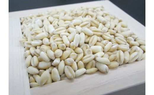 七福醸造の有機白しょうゆ2本セット 厳選素材 万能 調味料 白醤油 セット レシピ冊子付き 有機大豆 有機小麦 醤油 しょうゆ 旨味 和食 煮物 卵料理 お吸い物 麺類 炒めもの 揚げ物 料理 ヴィーガン ビーガン vegan 認証 H001-074