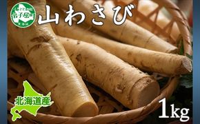 3165.天然 山わさび 1kg前後 産地直送 薬味 肉 BBQ バーベキュー 焼き肉 送料無料 北海道 弟子屈町