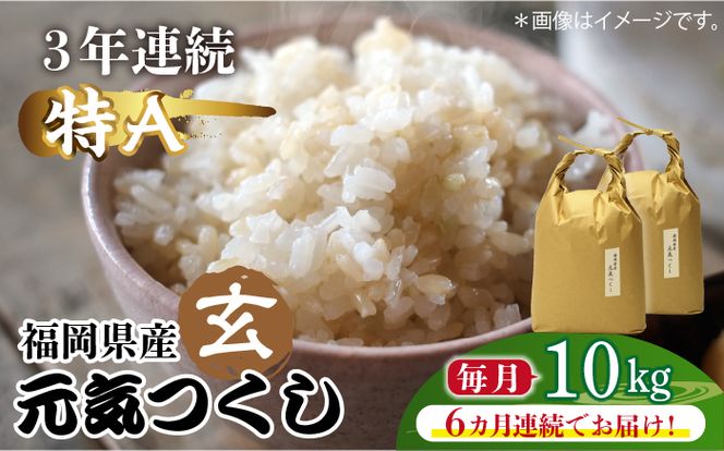 【先行予約】【全6回定期便】福岡県産【特A】評価のお米「元気つくし」5kg×2袋 [10kg] [玄米]【2024年11月下旬以降順次発送】《築上町》【株式会社ベネフィス】[ABDF119]