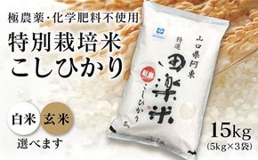 C043 「田楽米」コシヒカリ15kg≪エコやまぐち50認証取得≫