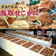 【活】鳥取県産 セコガニ 訳あり 良品 2kg ※2024年11月上旬～12月下旬頃に順次発送予定◇