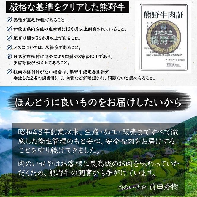 663.黒毛和牛100％希少なブランド熊野牛ハンバーグ（150ｇ×6個）(A663-1)