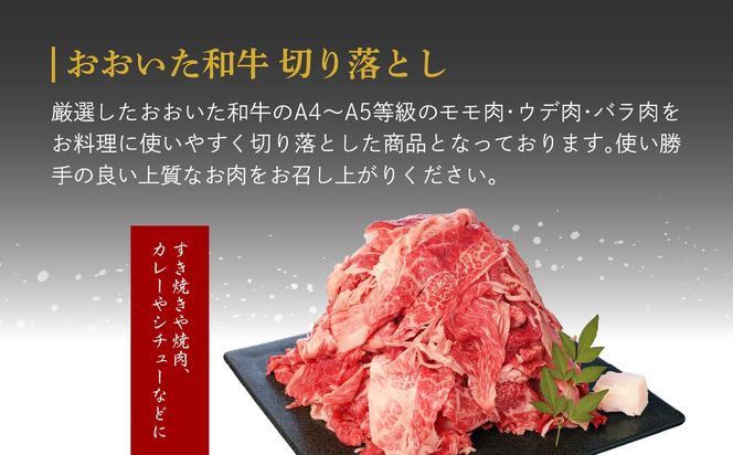 【A01127】厳選A4～A5等級 おおいた和牛 1ポンドブロック・切り落としセット 合計約1.9kg