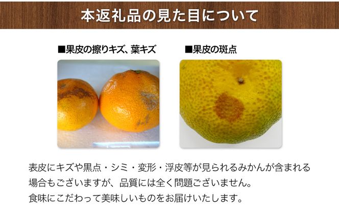 ご家庭用『かっちゃんファーム』のご家庭用みかん★ 約10kg【2S-2Lサイズ(大小サイズ混合)】《1月上旬-1月末頃出荷予定》 自然本来のおいしさ！---sg_kmkn2s2l_ac1_25_10000_10kg---