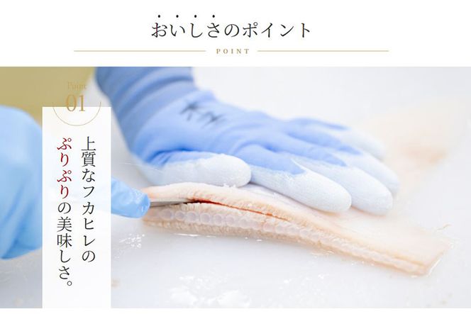 濃縮ふかひれスープ 5袋セット [石渡商店 宮城県 気仙沼市 20563406] 